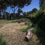 Affitto a palermo privati