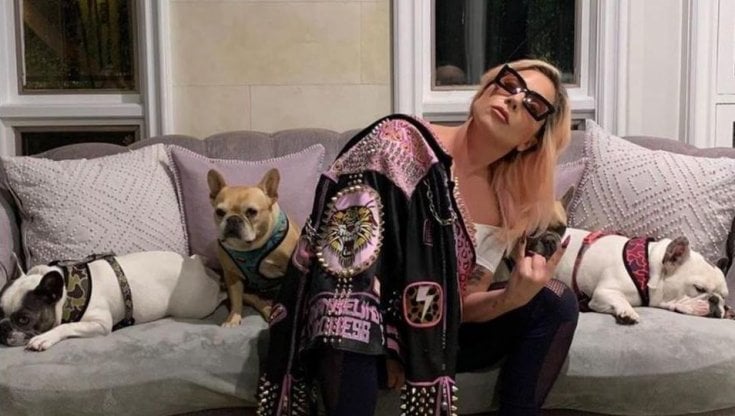 Lady Gaga è a Roma per il film su Gucci. A Los Angeles rapiscono i suoi cani  sparando al dog sitter - la Repubblica