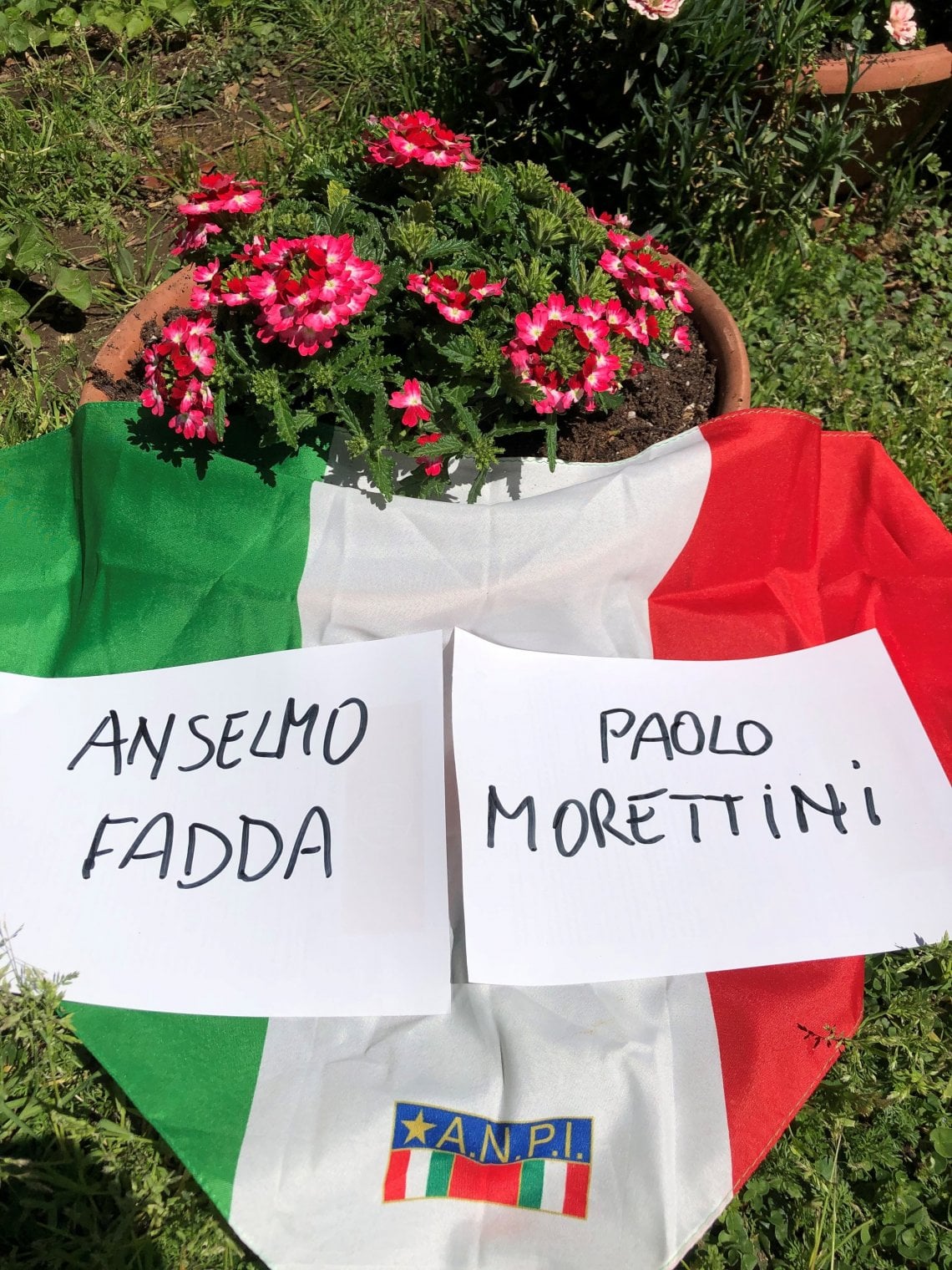 Perché Il Papavero è Il Fiore Del Partigiano