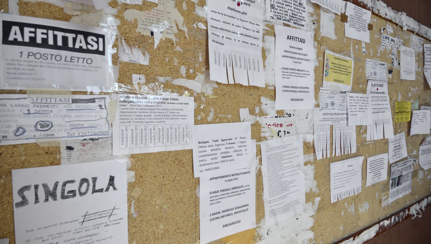 stanze in affitto per studenti