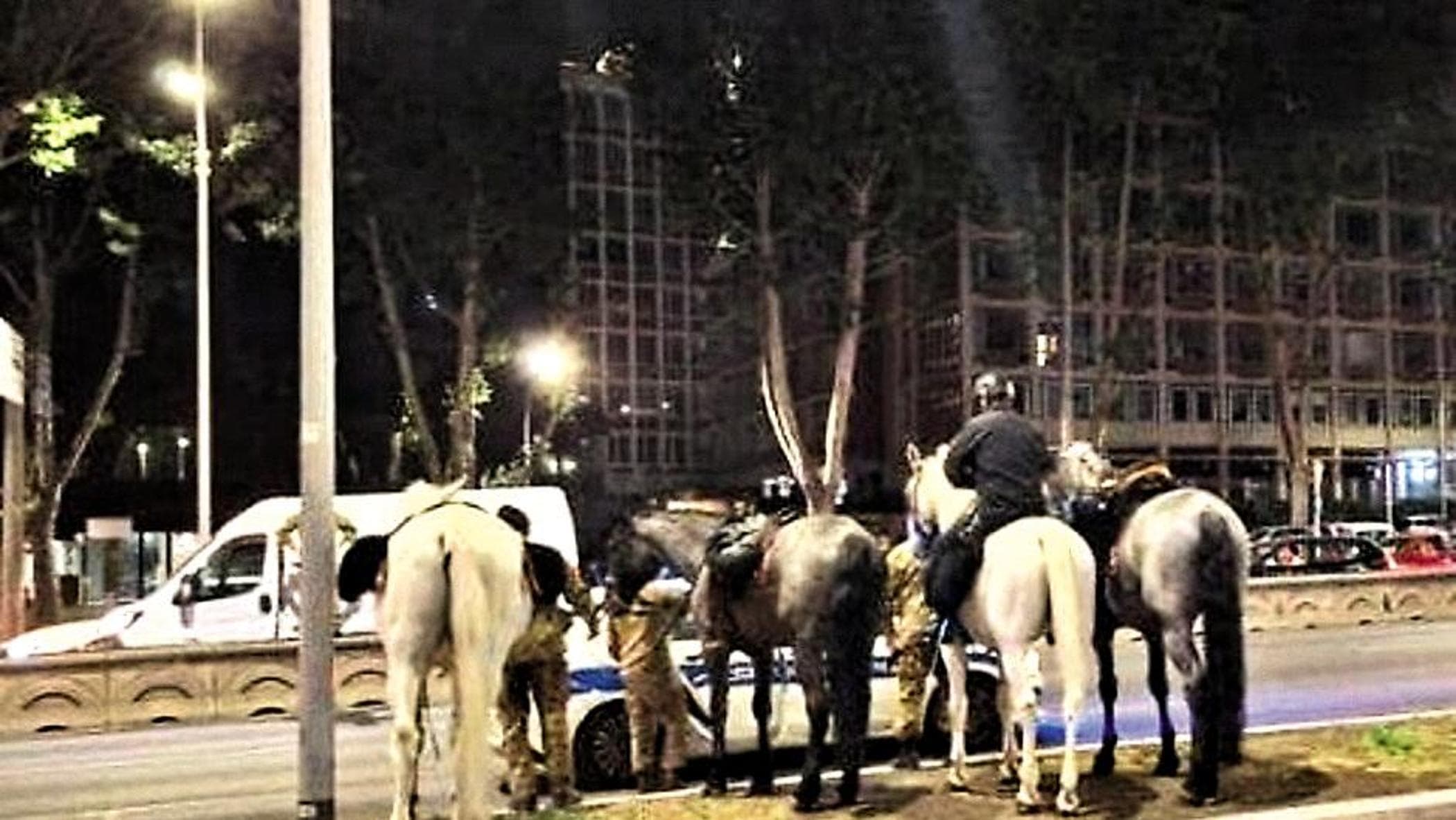 Cavalli in fuga, l’informativa in procura: ecco cosa rischiano i vigili coinvolti