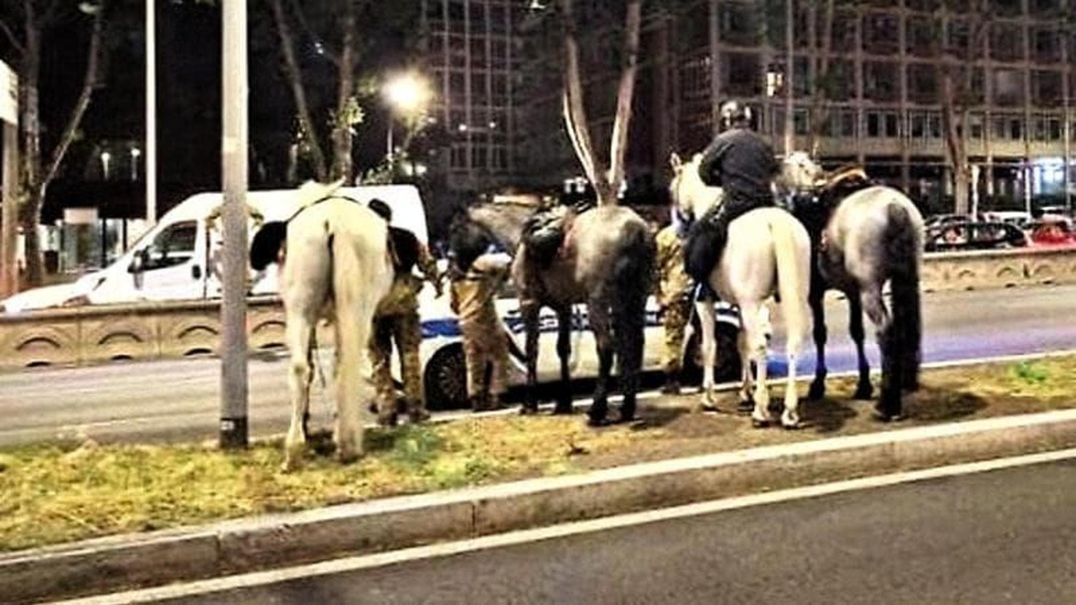 Fuga dei cavalli sulla Colombo, si indaga sull’agente che ha acceso i fuochi