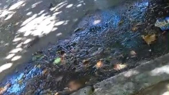 Piazza Bologna, perdita d’acqua in via Moroni: “Va avanti così da un mese”