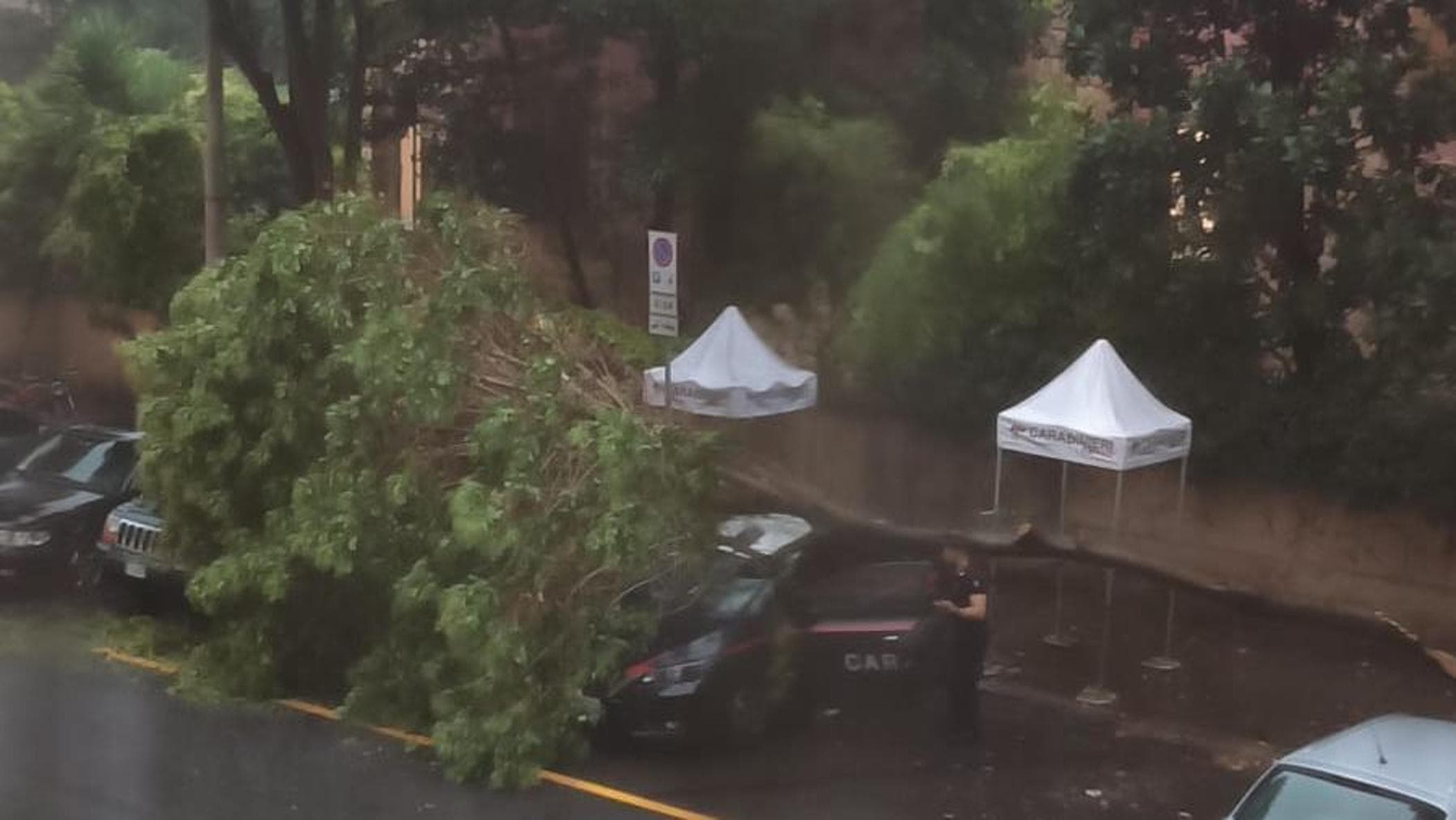 Roma, ramo di un albero cade sull’auto della sorveglianza sotto casa di La Russa: carabinieri illesi