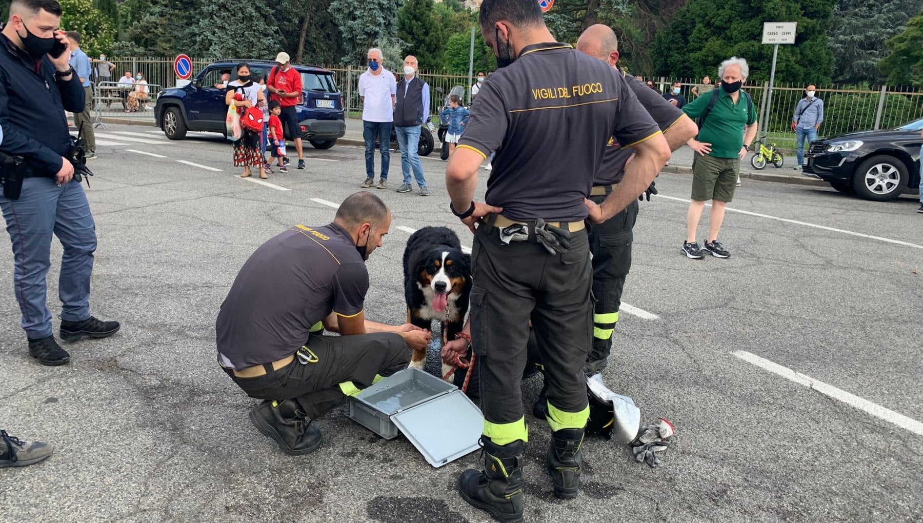 Vigili del fuoco e carabinieri in allarme per il cane chiuso in auto al ...