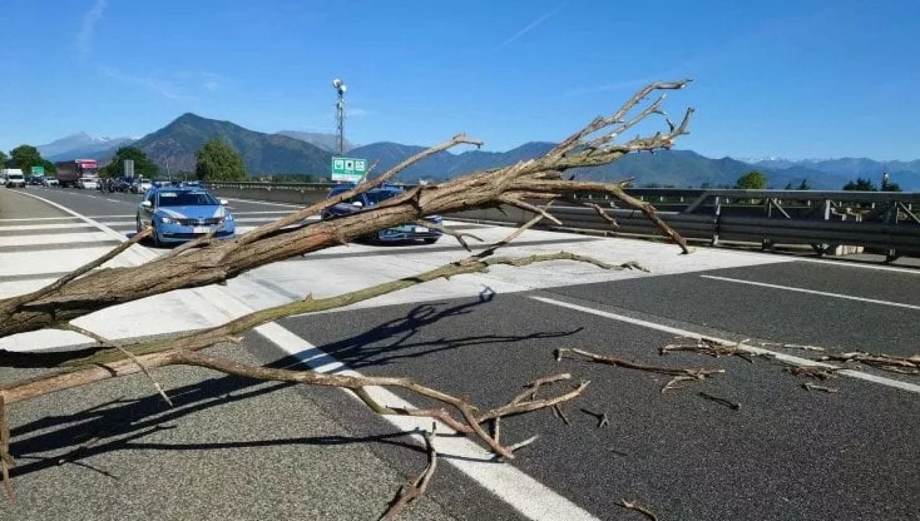 Albero cade in tangenziale e ferisce centauro: indagato direttore di Ativa - Vimarsana News