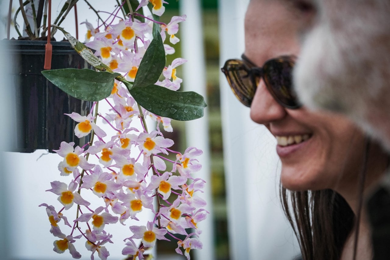 Flor, debutto con code ai Giardini Reali: tutti pazzi per le piante ...