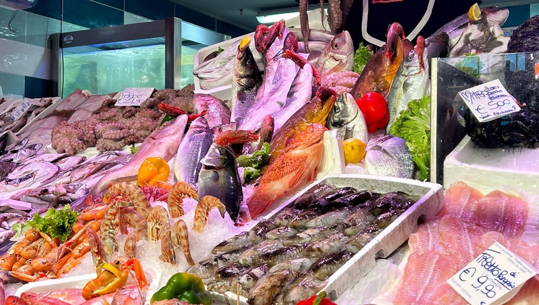 L’angolo del Mare della famiglia Di Mola dentro al Mercato Centrale ...