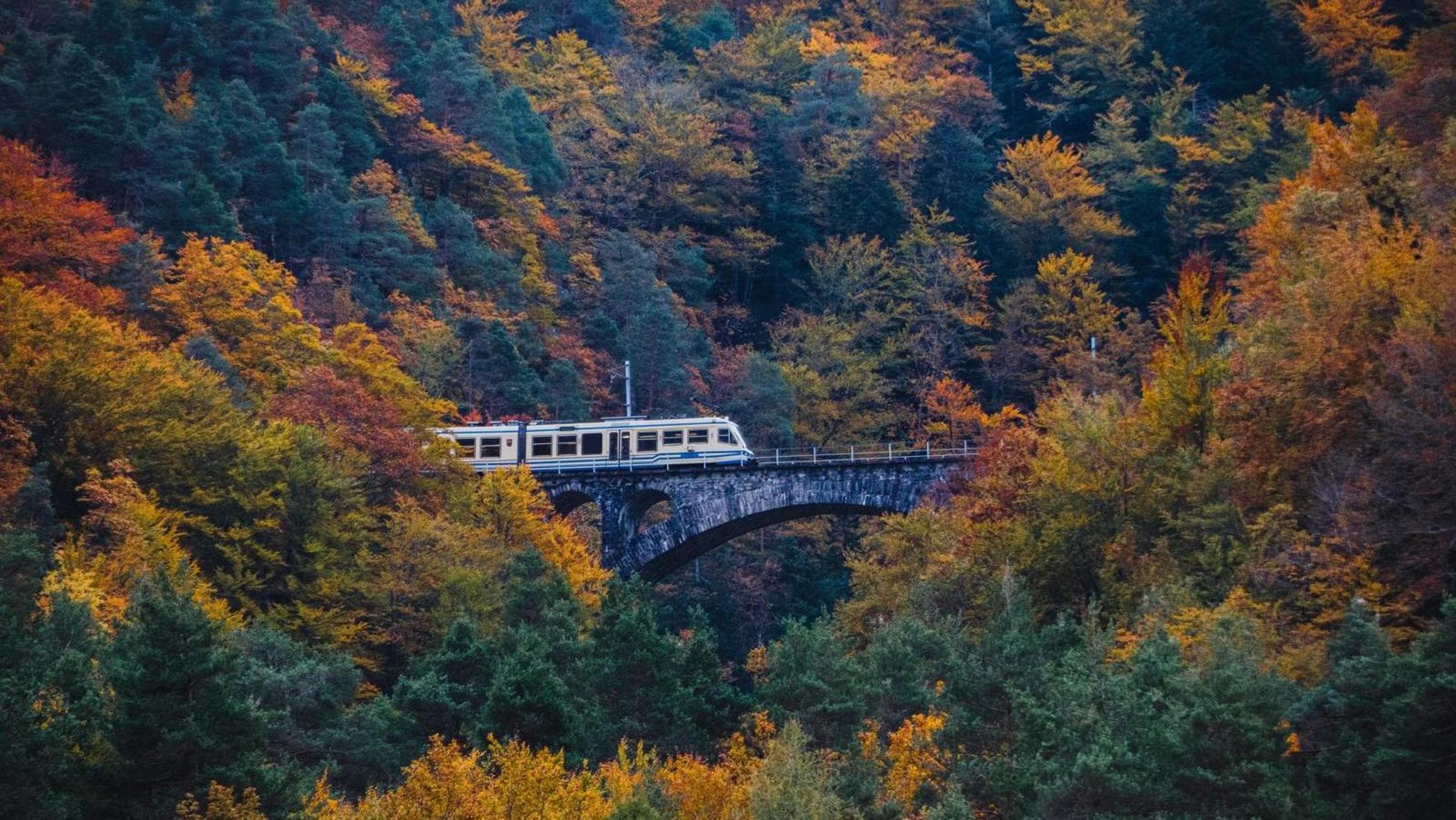 Foliage d'autunno, il richiamo dell'Oasi. Colori, cammini e benessere tra i boschi - La Stampa