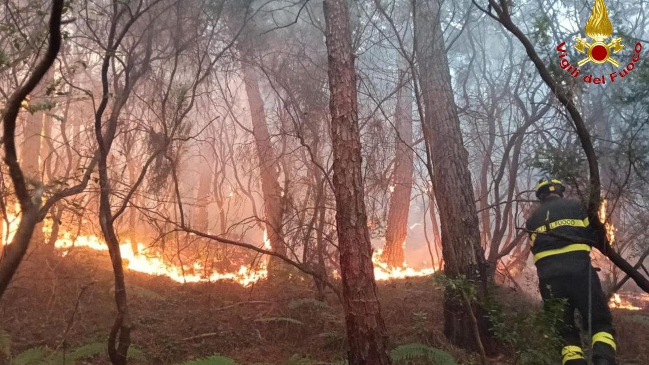 gli incendi devastano la val d8217ossola 600 ettari in cenere 120 evacuati per l8217aria irrespirabile da Torino.repubblica.it gli incendi devastano la val d8217ossola 600 ettari in cenere 120 evacuati per l8217aria irrespirabile