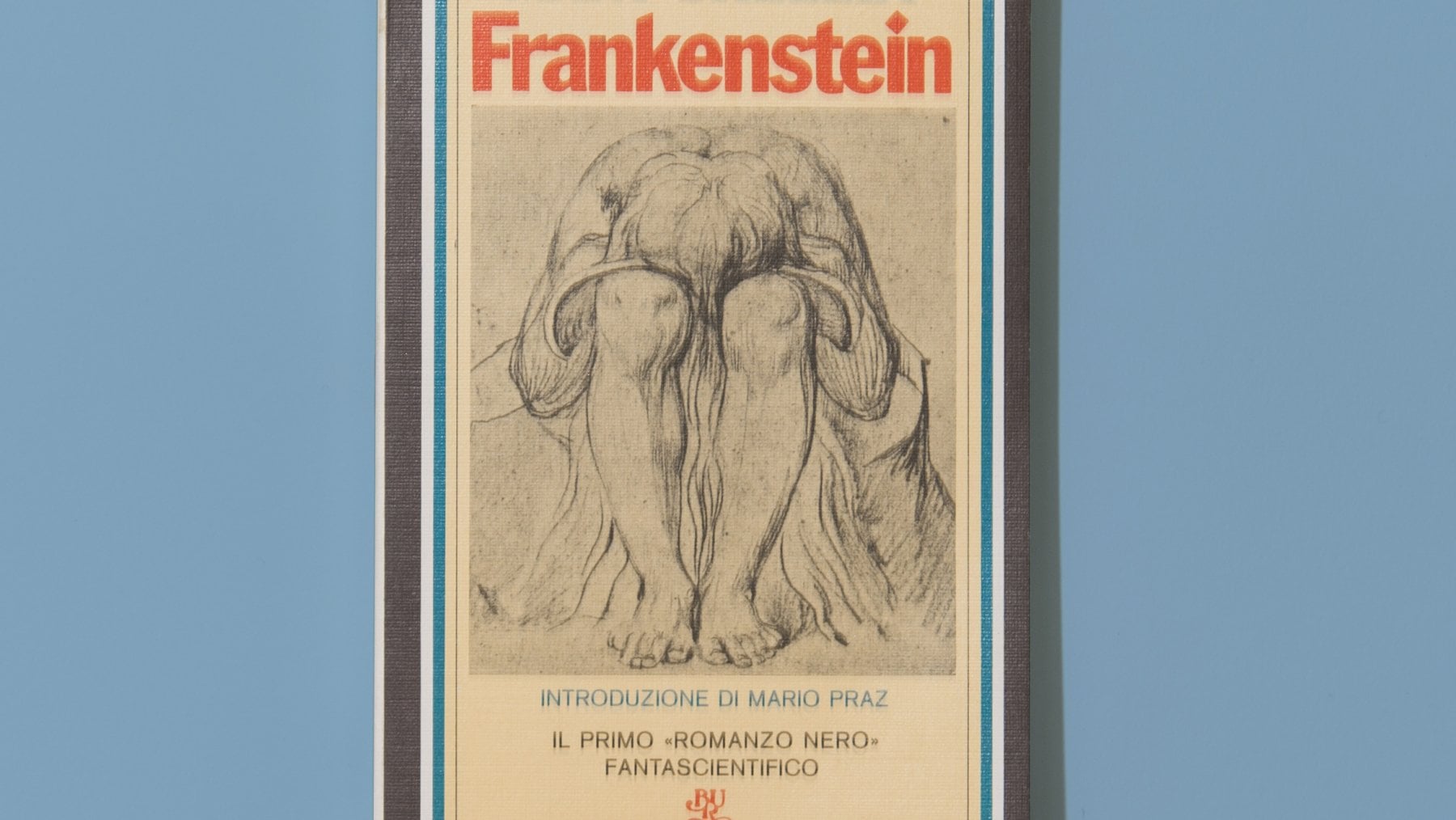 &nbsp;Una copertina Bur secondo il taglio in uso a partire dal 1973. Credit: Nicola Nunziata/ opfot.com
