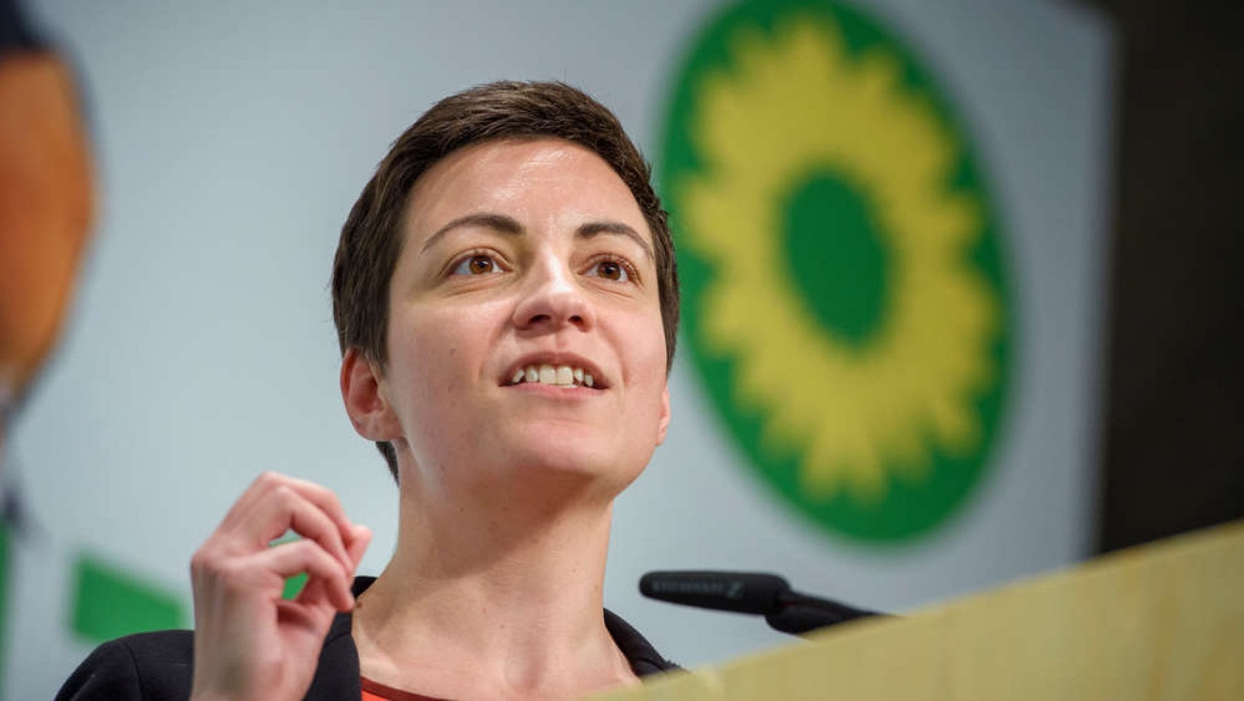 Il New Deal Verde, piano ambientalista per governare la Ue