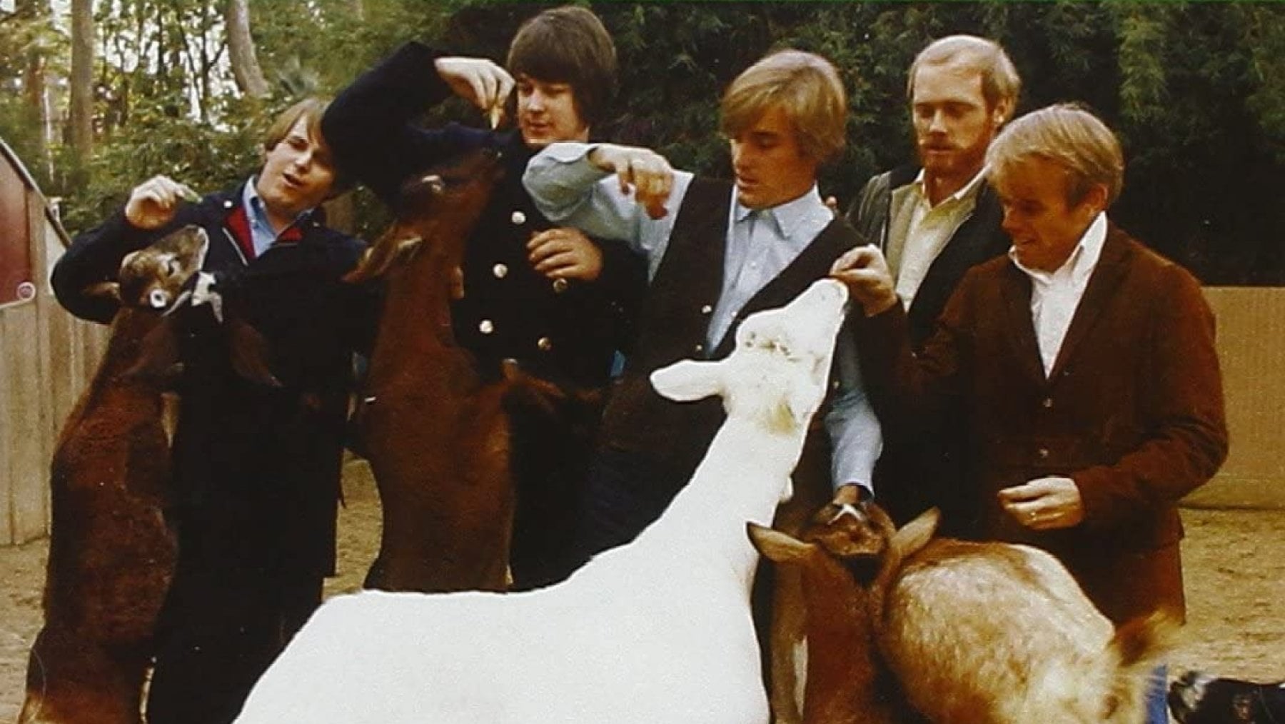 I Beach Boys sulla copertina di Pet Sounds