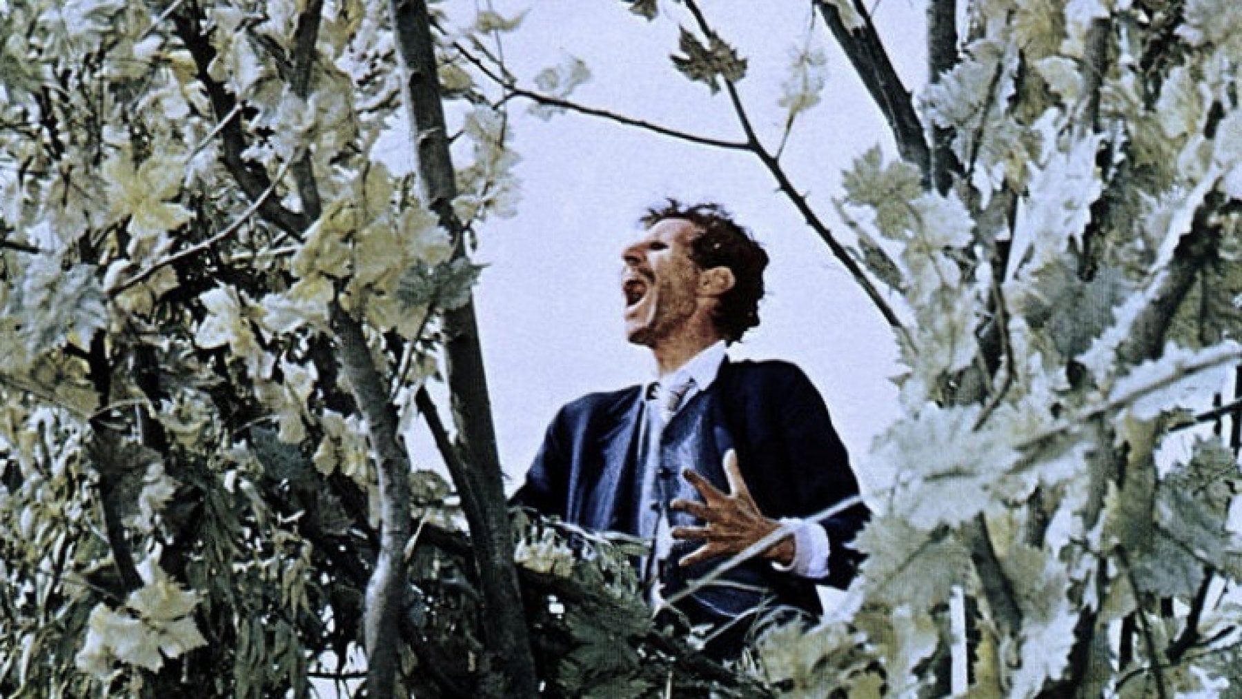 Ciccio Ingrassia nella parte di zio Teo in "Amarcord" di Federico Fellini&nbsp;