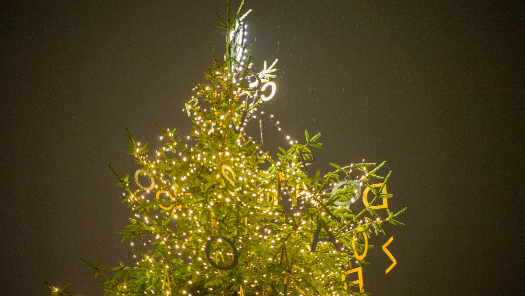 Vivere e morire a Natale