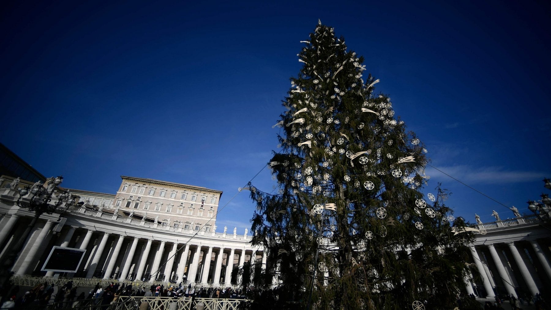 L'albero di Natale in piazza San Pietro, a Roma