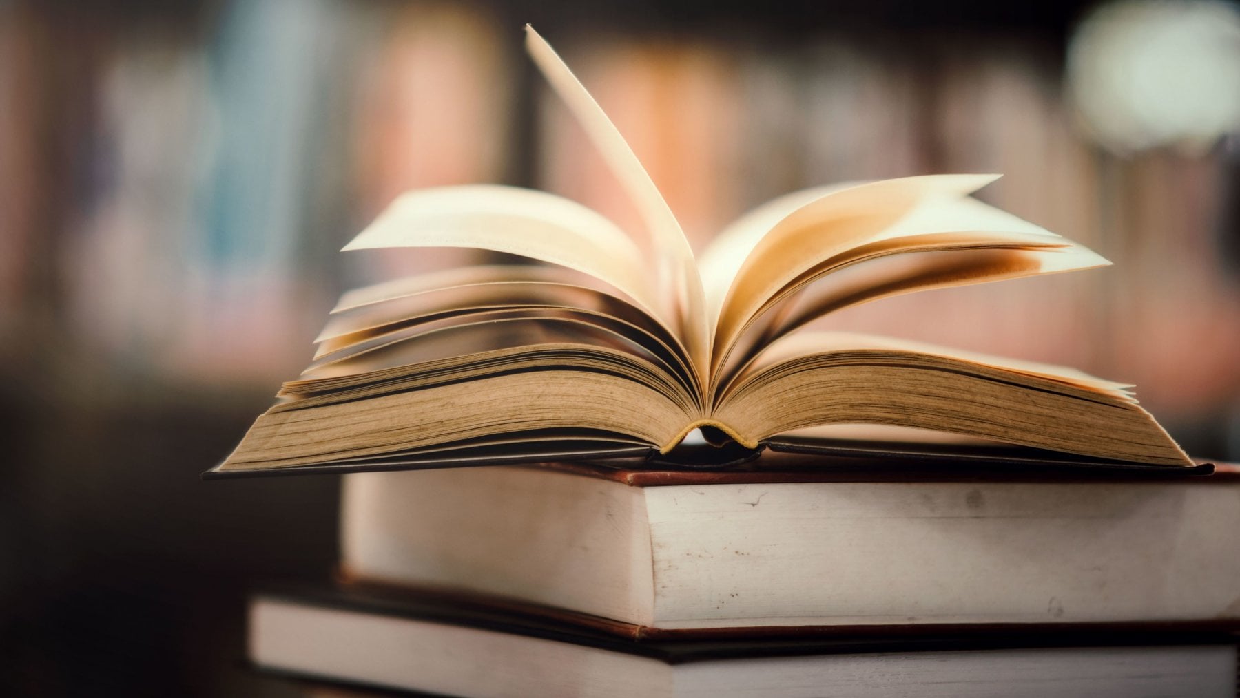Meglio finanziare di più tutte le università