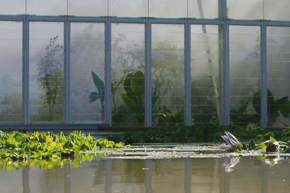 Padova, tra verde e hi-tech: ecco il nuovo orto botanico