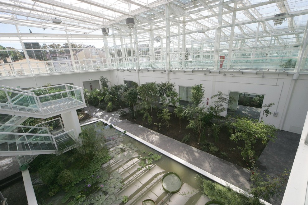 Padova, tra verde e hi-tech: ecco il nuovo orto botanico