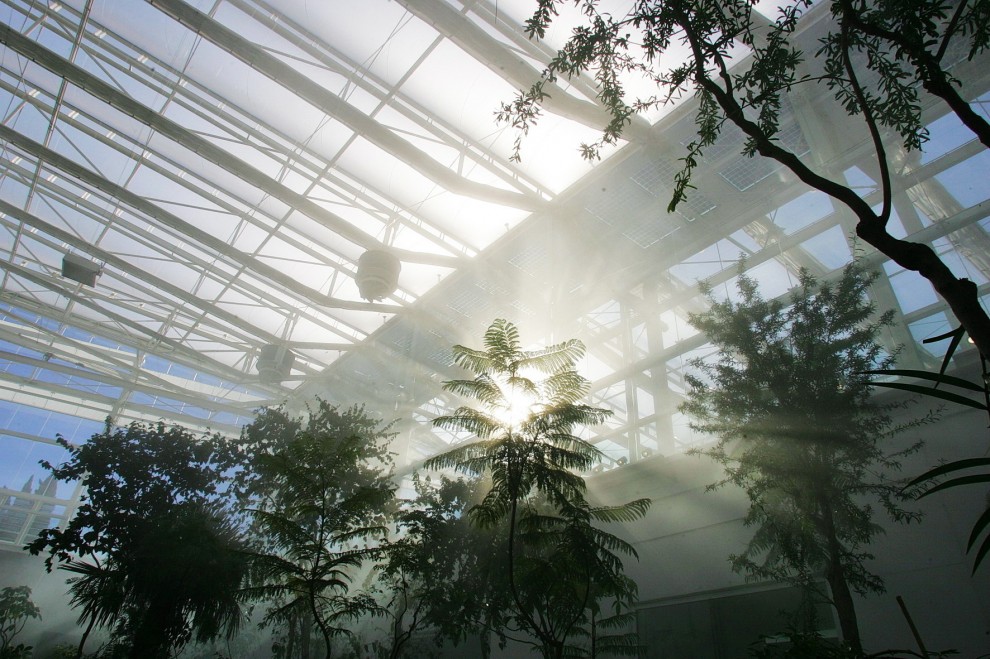 Padova, tra verde e hi-tech: ecco il nuovo orto botanico