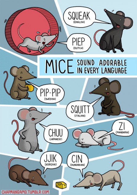 Tumblr, ''Miao'' in tutte le lingue del mondo