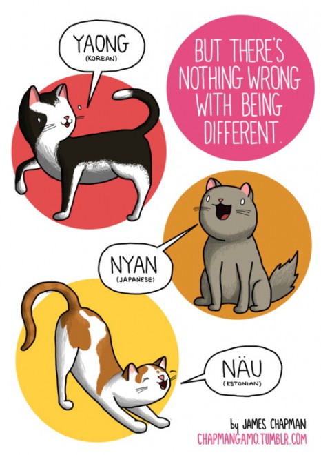 Tumblr, ''Miao'' in tutte le lingue del mondo