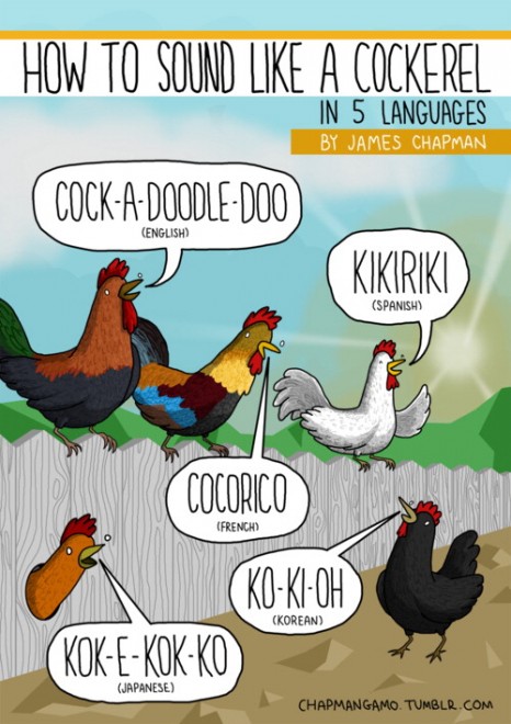 Tumblr, ''Miao'' in tutte le lingue del mondo