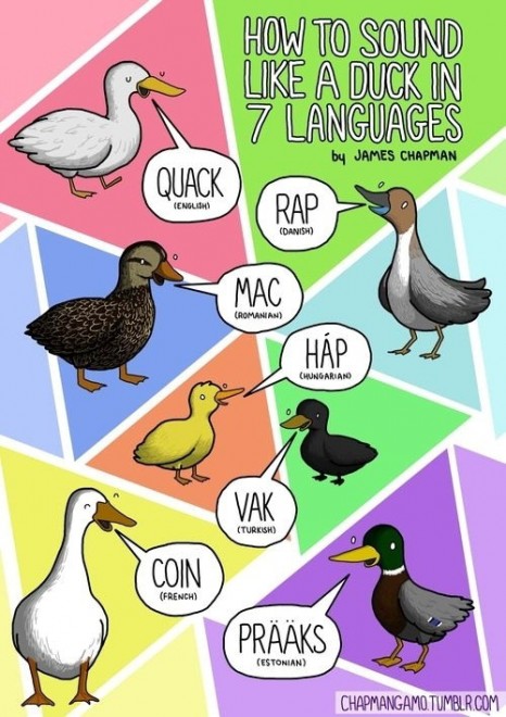 Tumblr, ''Miao'' in tutte le lingue del mondo