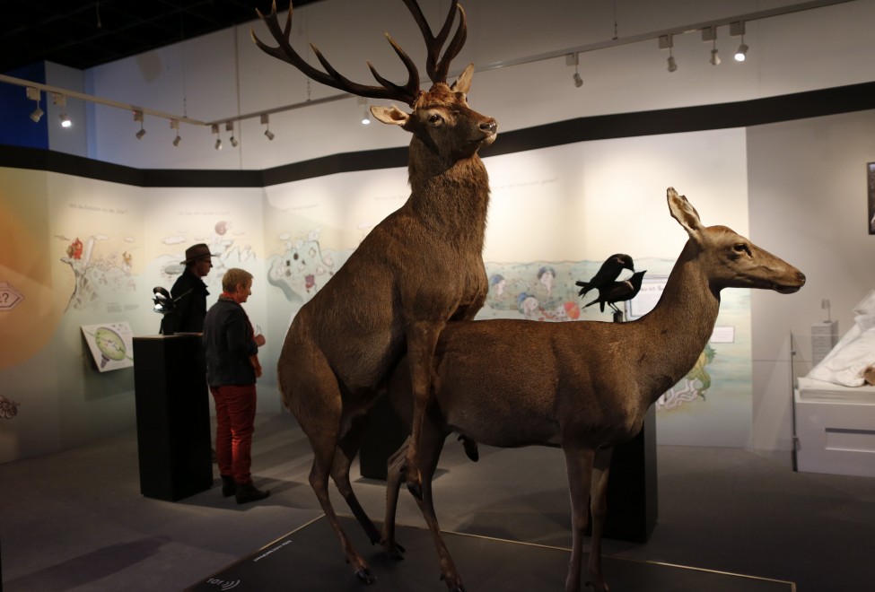 Germania, quando la natura fa l'amore: la mostra