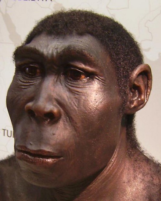 Il riciclo affonda nella preistoria