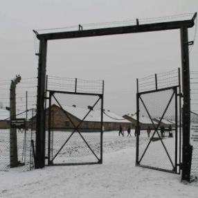 Se una legge vuole punire chi cancella la Shoah