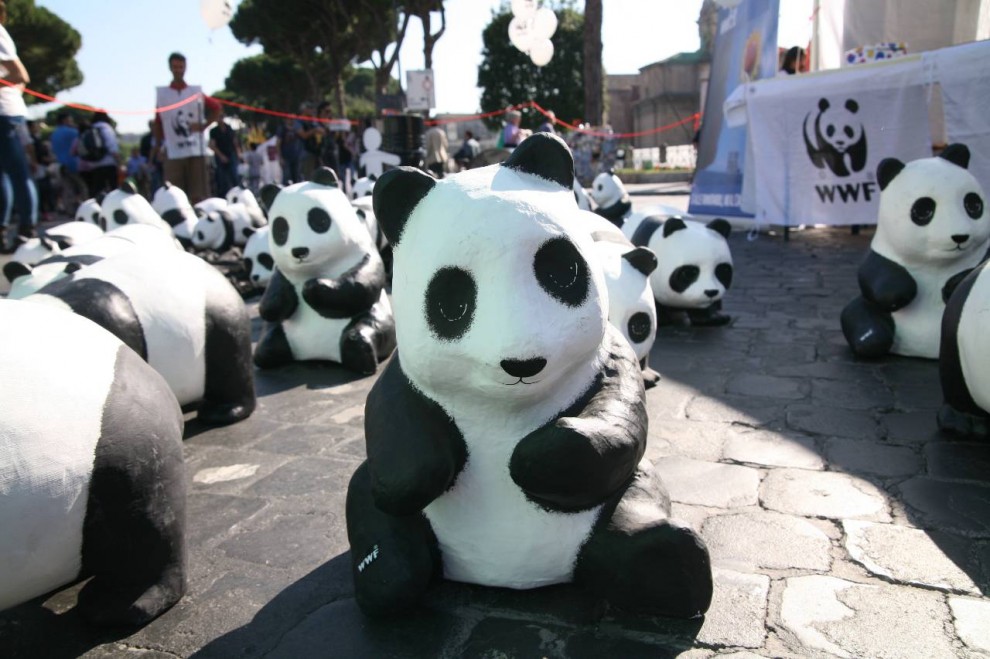 A Roma la festa delle energie rinnovabili