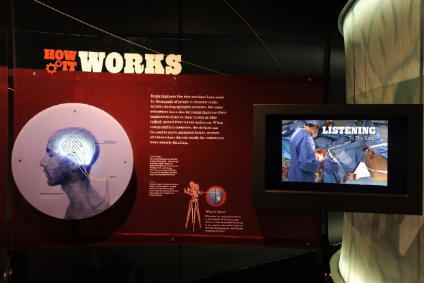 Brain, la mostra a Milano"Il cervello: istruzioni per l'uso"