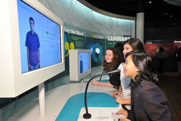 Brain, la mostra a Milano"Il cervello: istruzioni per l'uso"