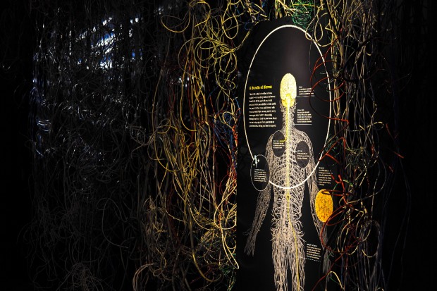 Brain, la mostra a Milano"Il cervello: istruzioni per l'uso"