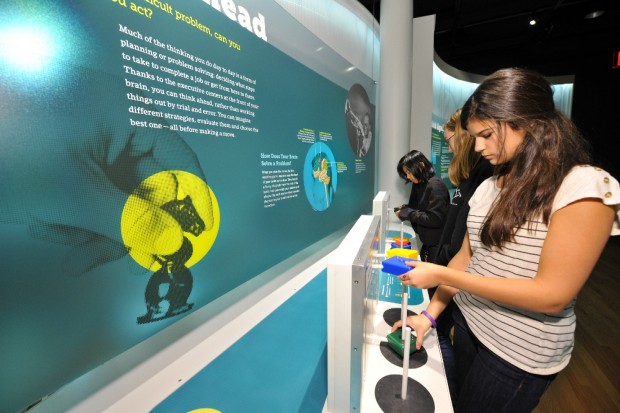 Brain, la mostra a Milano"Il cervello: istruzioni per l'uso"
