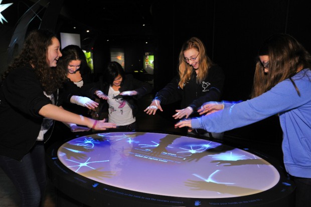 Brain, la mostra a Milano"Il cervello: istruzioni per l'uso"