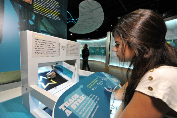 Brain, la mostra a Milano"Il cervello: istruzioni per l'uso"