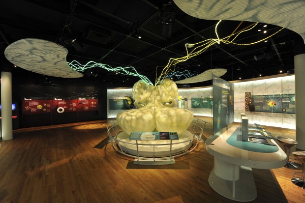 Brain, la mostra a Milano"Il cervello: istruzioni per l'uso"