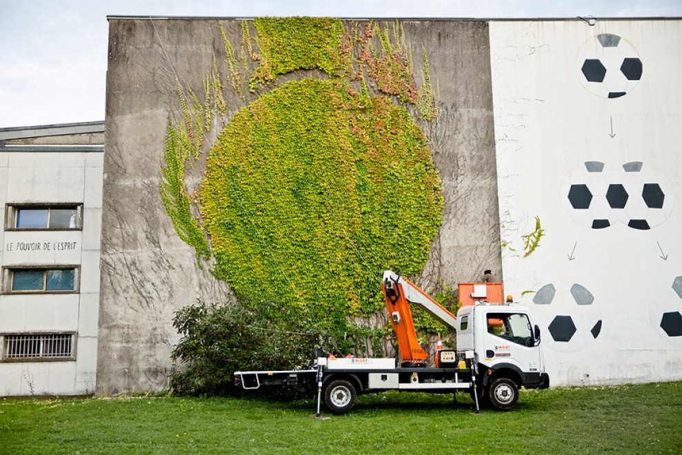 Francia, murales botanici: la street art di SpY