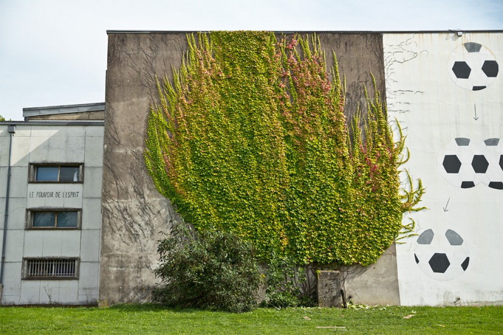 Francia, murales botanici: la street art di SpY