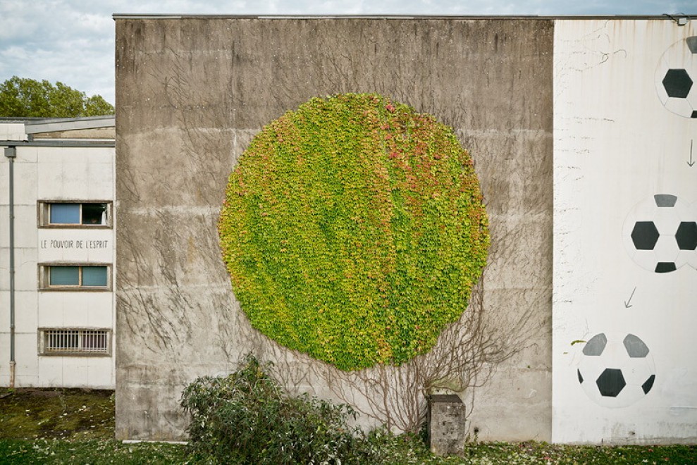 Francia, murales botanici: la street art di SpY
