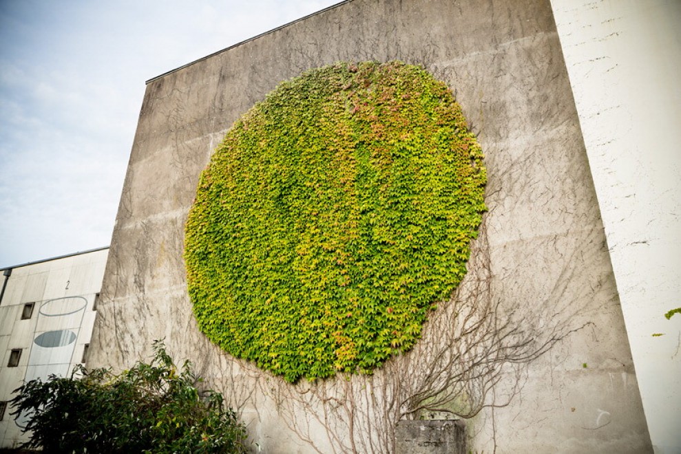 Francia, murales botanici: la street art di SpY