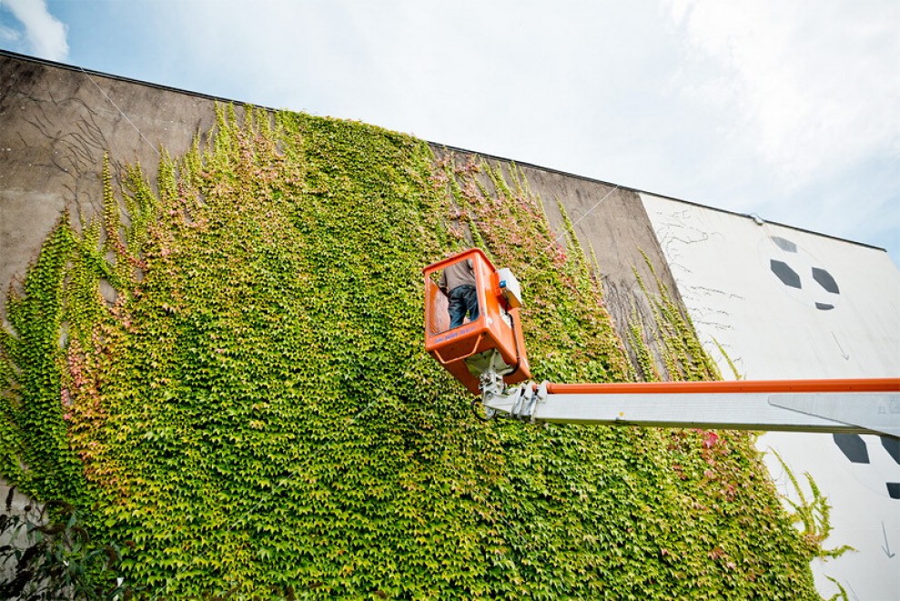 Francia, murales botanici: la street art di SpY