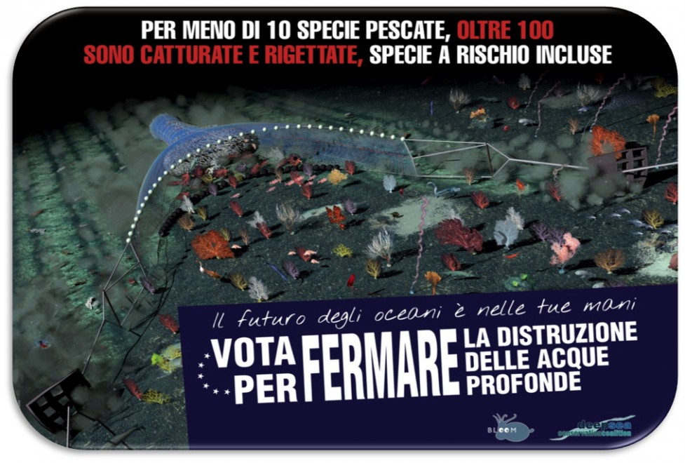 Quante meraviglie negli abissi. Tutte da salvare