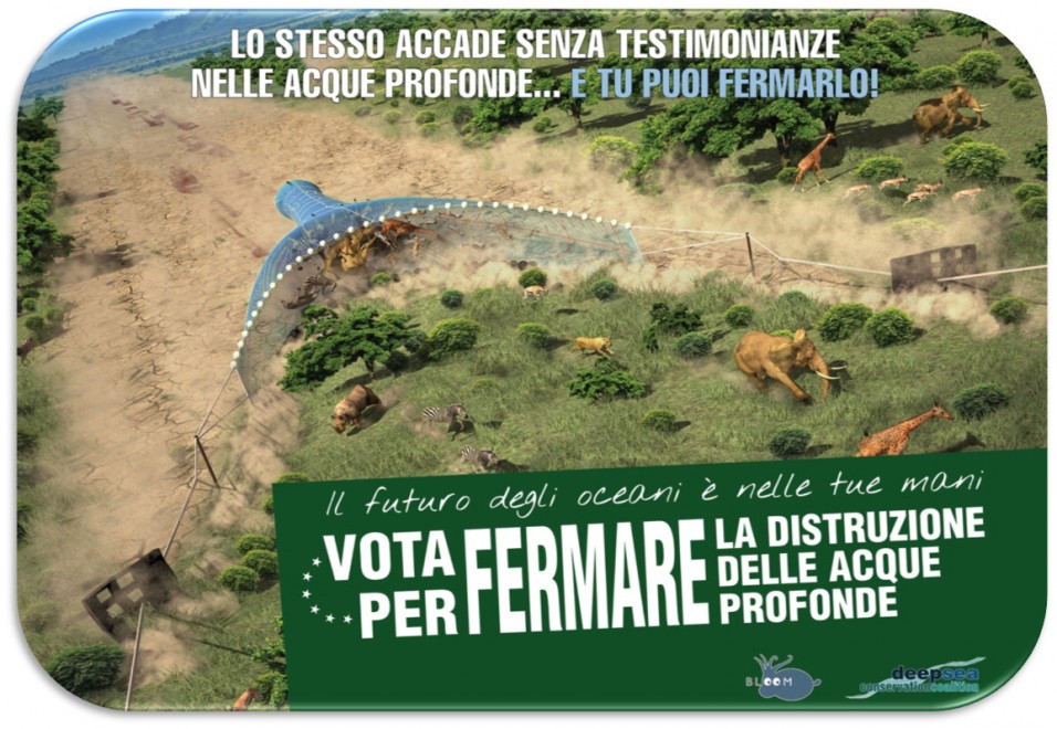 Quante meraviglie negli abissi. Tutte da salvare