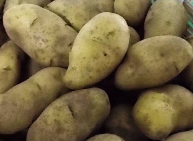 Tutte le diete, le pi&ugrave; famose e le pi&ugrave; curiose