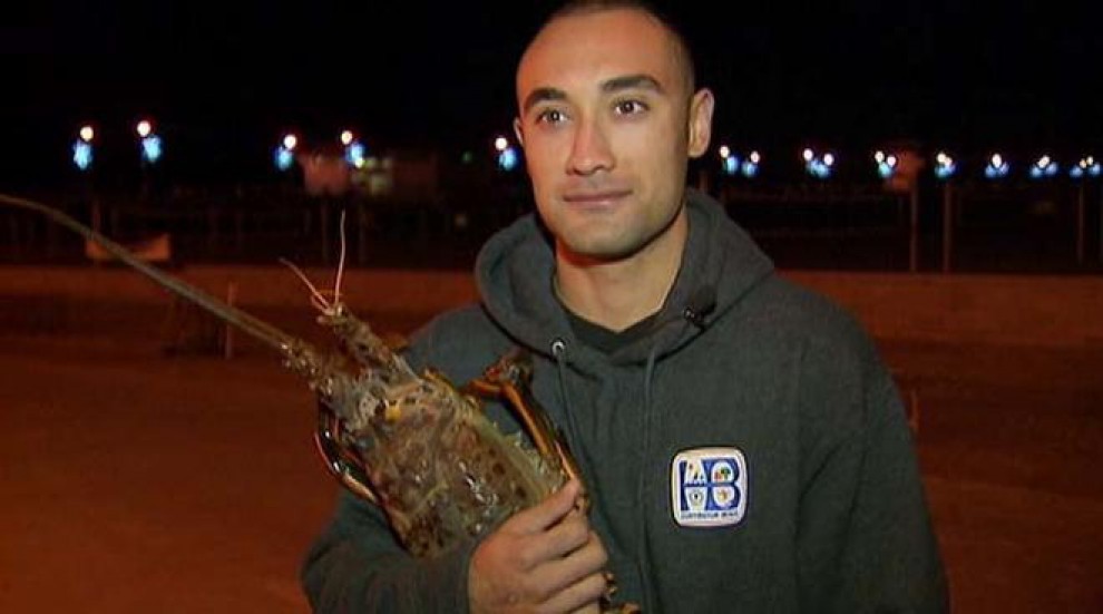 California, pescata aragosta gigante da 8 kg