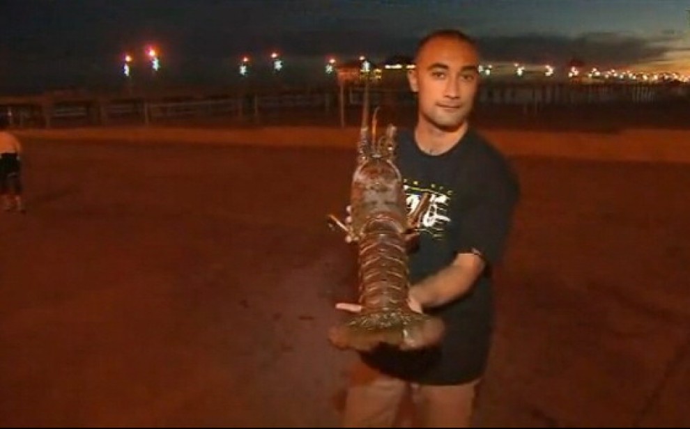 California, pescata aragosta gigante da 8 kg
