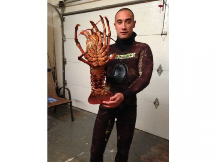 California, pescata aragosta gigante da 8 kg